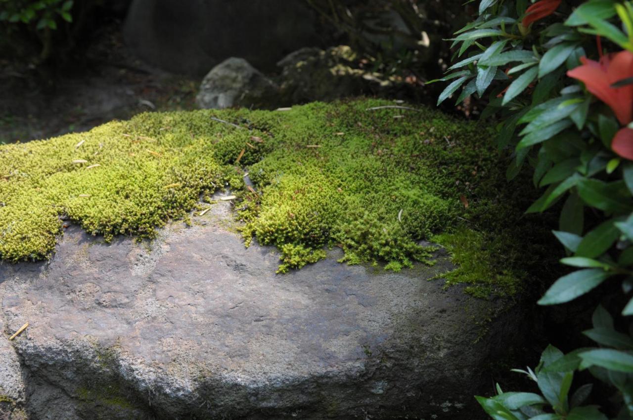 Historical Ryokan Senyukan Owani Exteriér fotografie