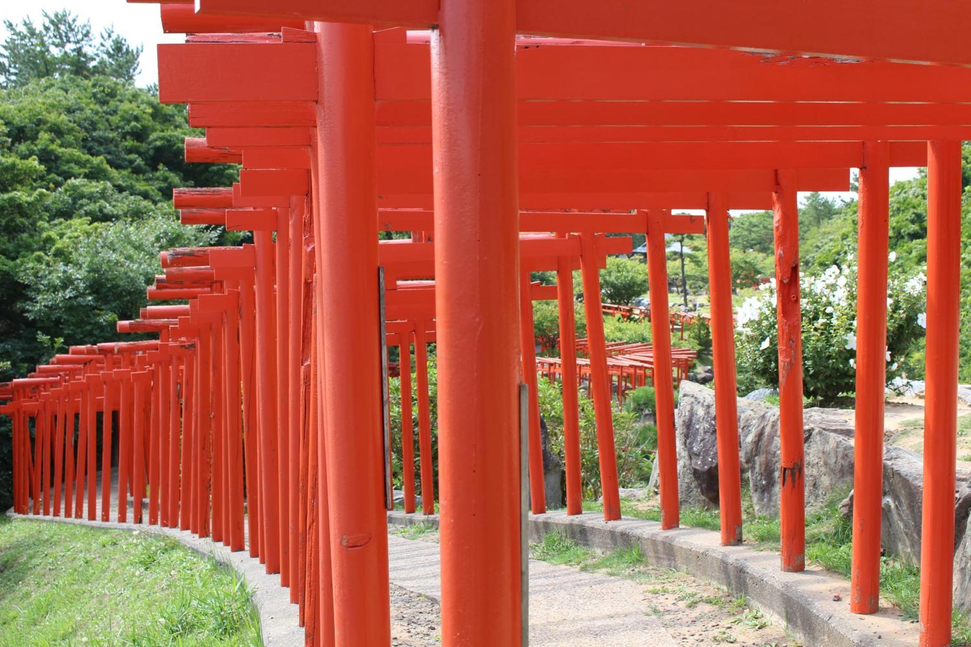 Historical Ryokan Senyukan Owani Exteriér fotografie